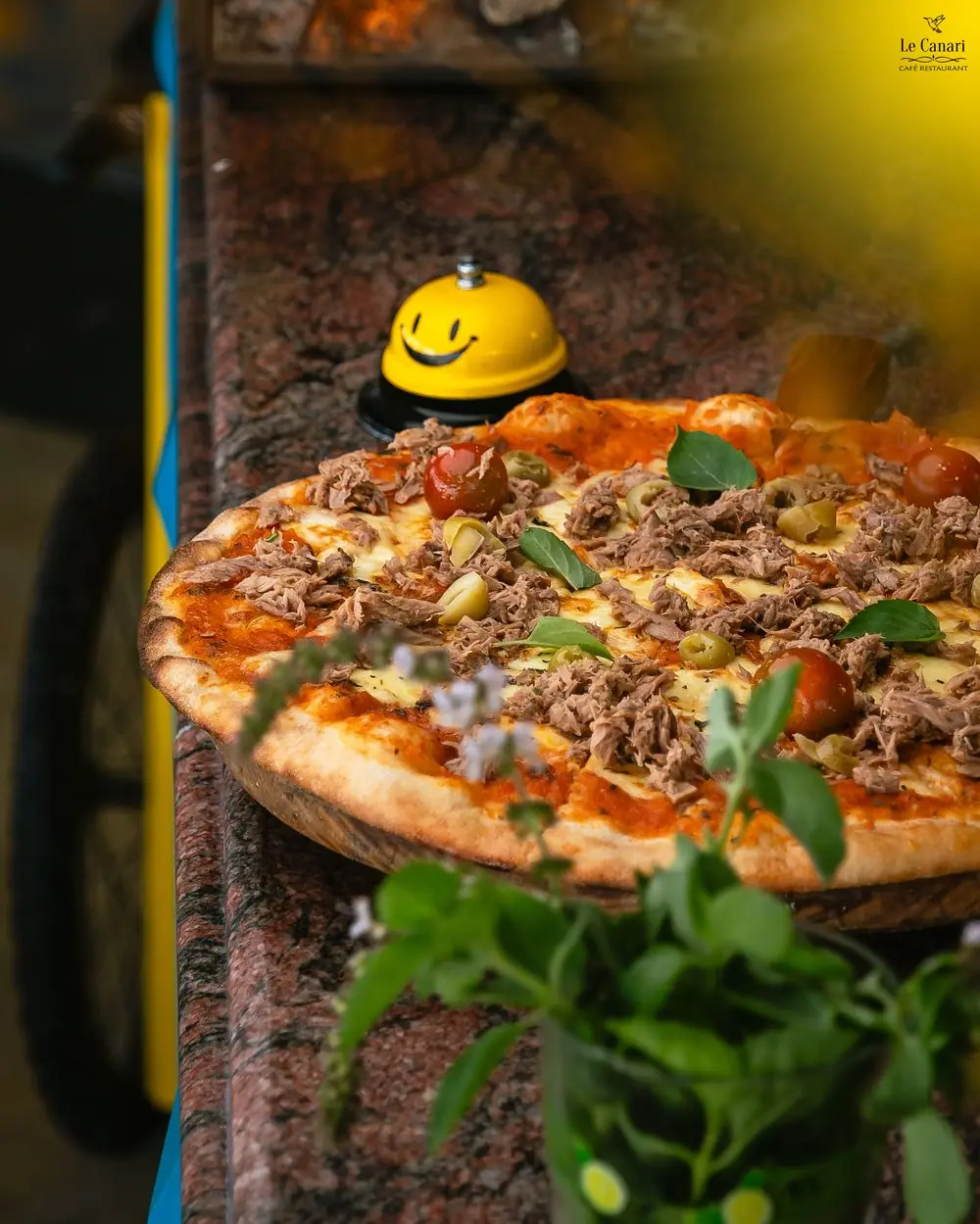 Pizza du feu de bois — Le Canari